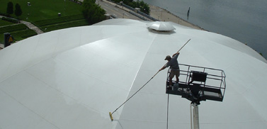 Professional Canopy Cleaning